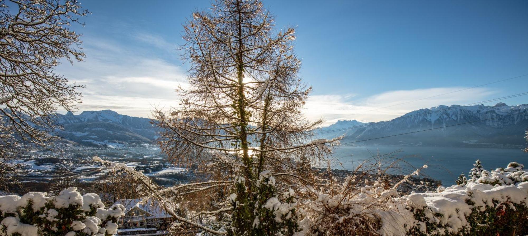Le Toit De Chardonne - Entre Alpes Et Lac Leman Exterior photo